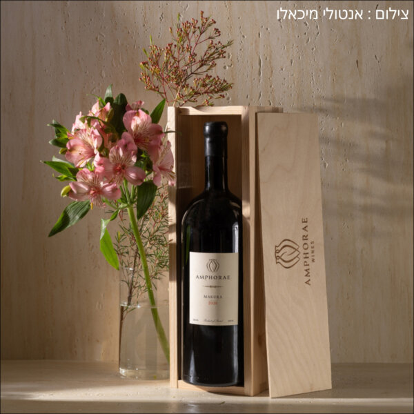 תיבת בקבוק יין יחיד אורן